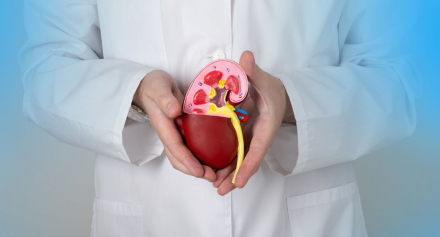 Image representing Chronic Kidney Disease: Early Detection, Management, and Lifestyle Interventions