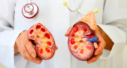 Image representing Dialysis 101: Understanding the Basics of Kidney Dialysis Treatment
