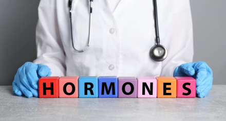 Image representing A Beginner’s Guide to Hormones