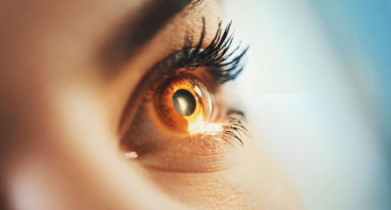 Image representing Understanding Vitreoretinal Disorders