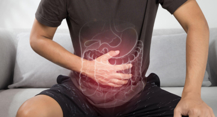 Image representing Exploring Common Gastrointestinal Diseases
