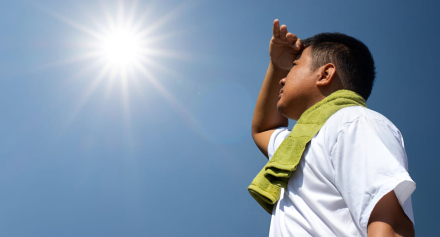 Image representing Rising Temperatures, Rising Risks: The Seriousness of Heatstroke in a Changing Climate