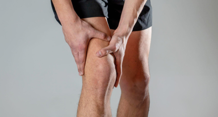 Image representing Why Knee Strength Matters: Benefits for Overall Health and Mobility